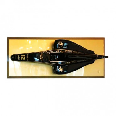 Quadro Mini Fórmula Lotus 97T Base Dourada
